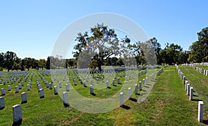 Arlington National Cemetery