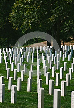 Arlington National Cemetery