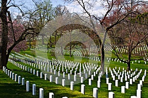 Arlington National Cemetery