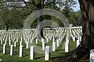 Arlington National Cemetery