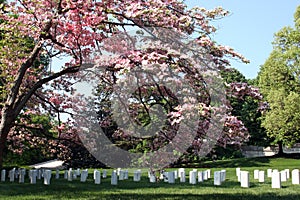 Arlington National Cemetery