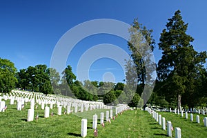 Arlington National Cemetery