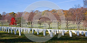 Arlington National Cemetery