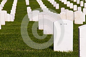 Arlington Tombstones