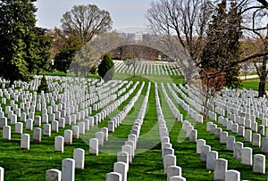 Arlington, VA: Military Graves at Arlington Nat'l Cemetery photo