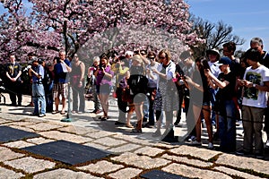 Arlington, VA: Tourists at Kennedy Gravesites