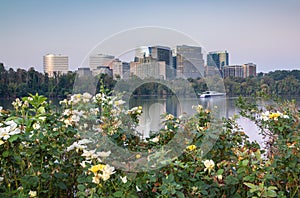 Arlington Virginia Skyline Potomac River