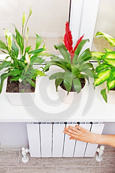 Arm put on heating white radiator.Windowsill with flowers.