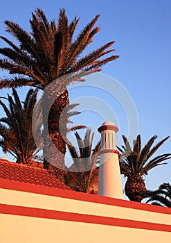 Armacao palm chimney