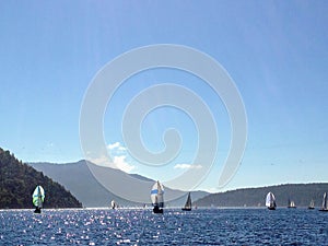 Armada of sailboats off the coast of Vancouver island, British C