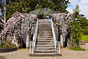 Armadale Castle Gardens