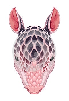 Armadillo frontal view, vector isolated animal