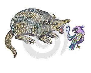 Armadillo and parrot