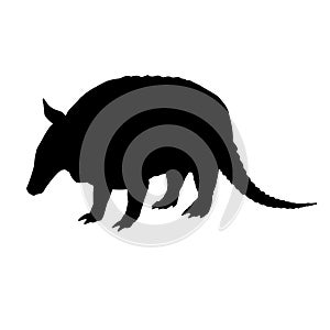 Armadillo silhouette. Black white icon. Vector illustration.