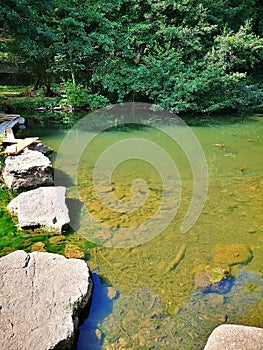 Armançon river, Semur-en-Auxois, Burgundy, France medieval village of astonishing beauty