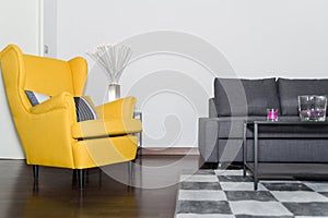 Armchair and Graceful Modern Gray Sofa Couch