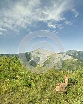 Armchair in a meadow 2