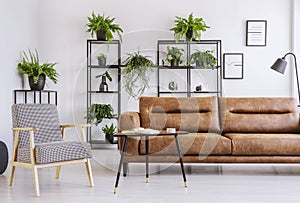 Armchair next to table and brown leather sofa in white flat interior with plants and posters. Real photo