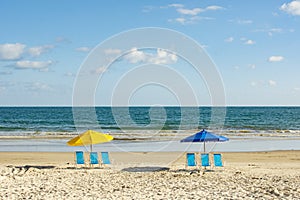 Poltrona un parasole sul Spiaggia brasile 