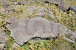 Armenia, mountain plateau at an altitude of 3200 meters, where the stones are petroglyphs of the 7th century BC