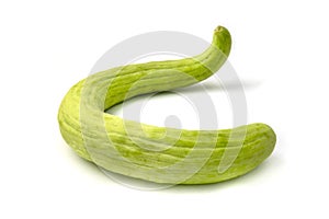 Armenian cucumber photo