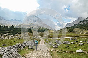 Armentarola - A woman with a hiking backpack hiking on a gravelled road in high Italian Dolomites. There is a dense forest
