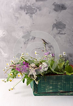 Armful of fresh medicinal plants in a box on the table