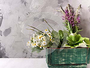 Armful of fresh medicinal plants in a box on the table