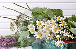 Armful of fresh medicinal plants in a box on the table