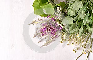 Armful of fresh medicinal plants on the table