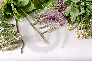 Armful of fresh medicinal plants on the table