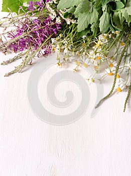 Armful of fresh medicinal plants on the table