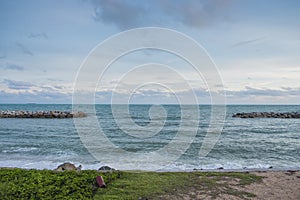 The armourstone wall at the coast with the creeper in the foreground.