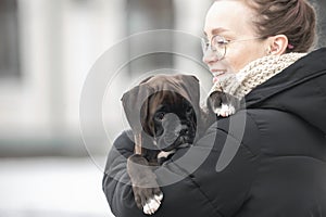 people on a walk with their pet dogs