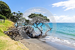 Army Bay Whangaparaoa Peninsula in Auckland, New Zealand