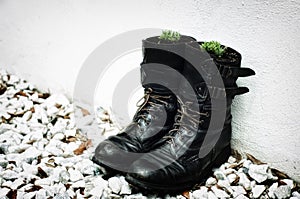 Army boots as planters