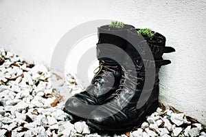 Army boots as planters photo