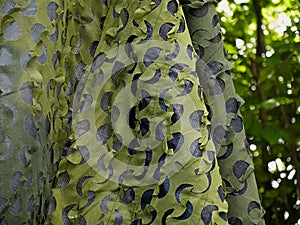 Army military hunting birding camouflage net