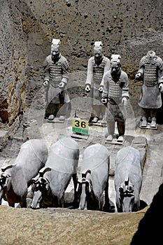 Army of Terracotta Warriors and Horses, Xian, China