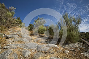 ARNAL, PORTUGAL, 16 SEP 2016