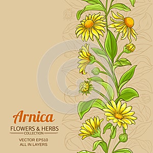 Arnica vector background