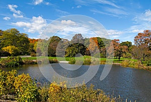 Arnold Arboretum, Boston img