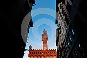 Arnolfo tower, Palazzo della Signoria and Palazzo Vecchio photo