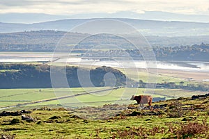 Arnside and the river Kent estuary viewed from Hampsfell