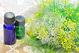 Aroma bottles and herbs