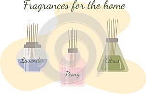 Aroma diffuser in glass, home fragrance. Set of aroma diffusers. Vector illustration