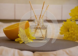 Aroma diffuser, home perfume aromatic natural design