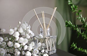 Aroma diffuser, home perfume essential product decoration