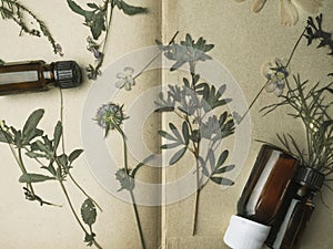 Aroma essential oil. Top view bottle among dried flowers, medicinal herbs. Natural cosmetic and skincare, herbal miscellany