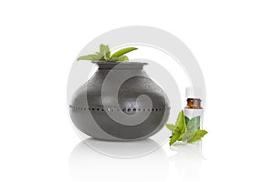 Aroma lamp with mint essential oil.